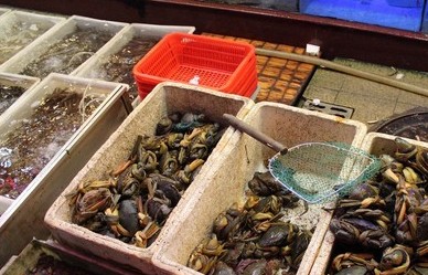 乐园路海鲜大排挡 深圳市区里的海鲜街