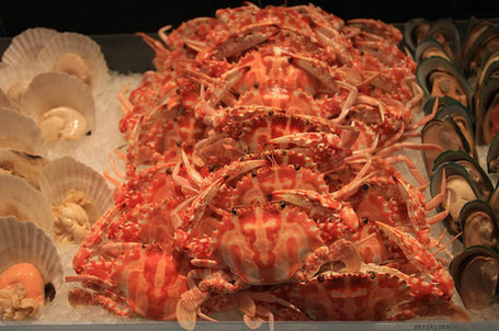 广州小蛮腰自助餐团购-广州小蛮腰自助餐团购